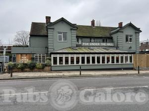 Picture of The Fox under the Hill