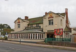 Picture of The Fox under the Hill