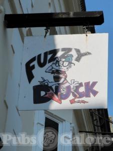 Picture of Fuzzy Duck
