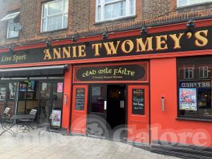 Picture of Annie Twomey's