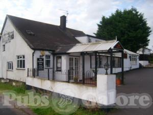 Picture of Golden Lion