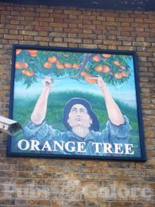 Picture of The Orange Tree