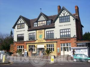 Picture of Green Dragon