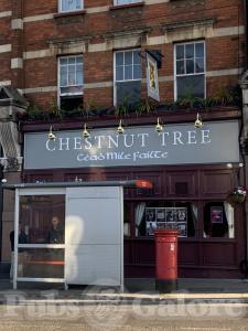 Picture of The Chestnut Tree