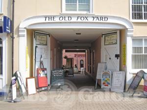 Picture of Fox
