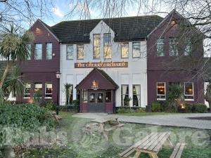 Picture of Cherry Orchard