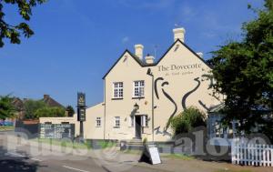 Picture of The Dove