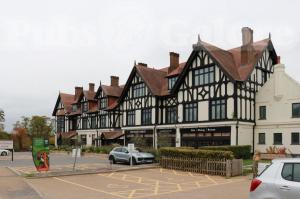 Picture of Royal Forest