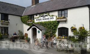 Picture of The White Horse