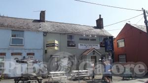 Picture of Golden Lion