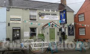 Picture of Golden Lion