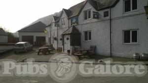 Picture of The Swan