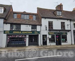 Picture of Jungle Junction