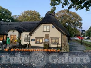 Picture of The Cat & Fiddle