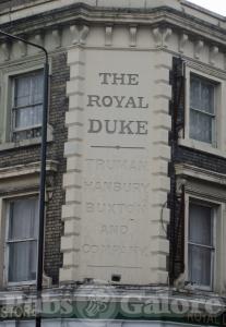 Picture of Royal Duke