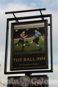 Picture of The Ball