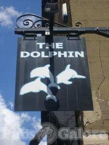 Picture of The Dolphin