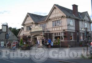 Picture of The Hearty Oak