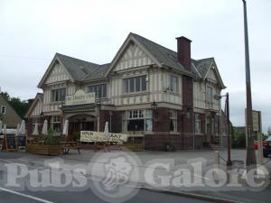 Picture of The Hearty Oak