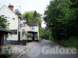 Picture of Bulls Head