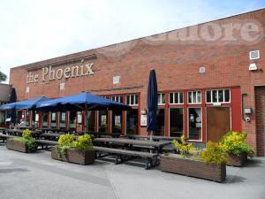 Picture of Phoenix
