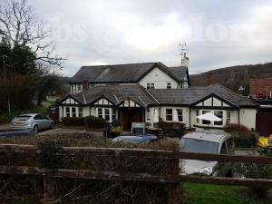 Picture of Ego at the Groes Wen Inn
