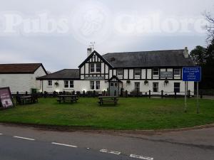 Picture of Ego at the Groes Wen Inn