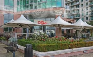 Picture of Cottons