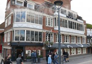 Picture of Swan at the Globe