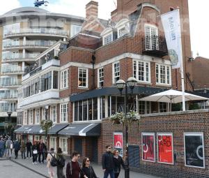 Picture of Swan at the Globe