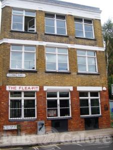 Picture of The FleaPit