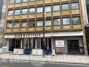 Picture of Slug & Lettuce