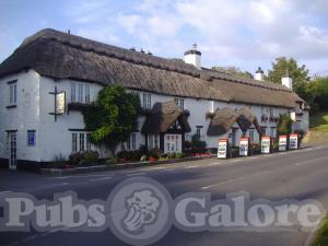 Picture of The Hoops Inn