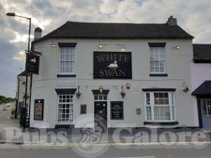 Picture of White Swan