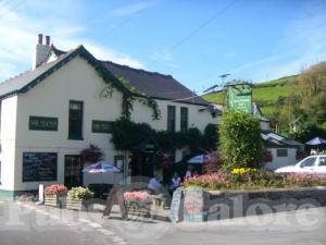 Picture of The Manor