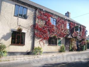 Picture of The Honiton Inn