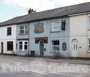 Picture of The Duke of York