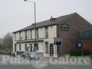 Picture of Bulls Head