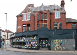 Picture of One Eyed Dog