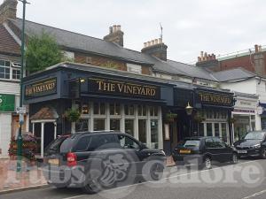 Picture of The Vineyard