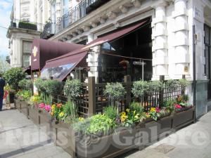 Picture of Hard Rock Cafe