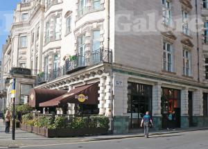 Picture of Hard Rock Cafe