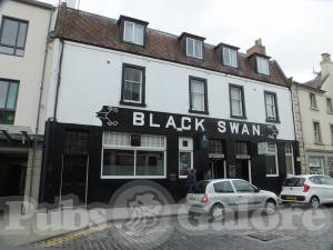 Picture of Black Swan