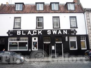 Picture of Black Swan