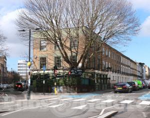 Picture of Prince Albert