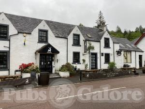 Picture of The White Stag