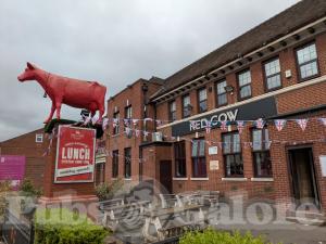Picture of Red Cow