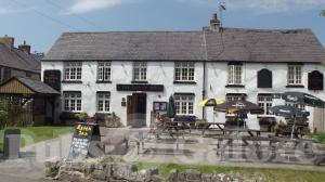 Picture of The Raven