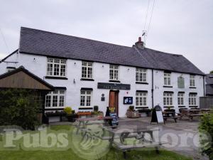 Picture of The Raven