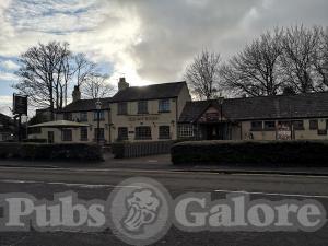 Picture of The Bay Horse